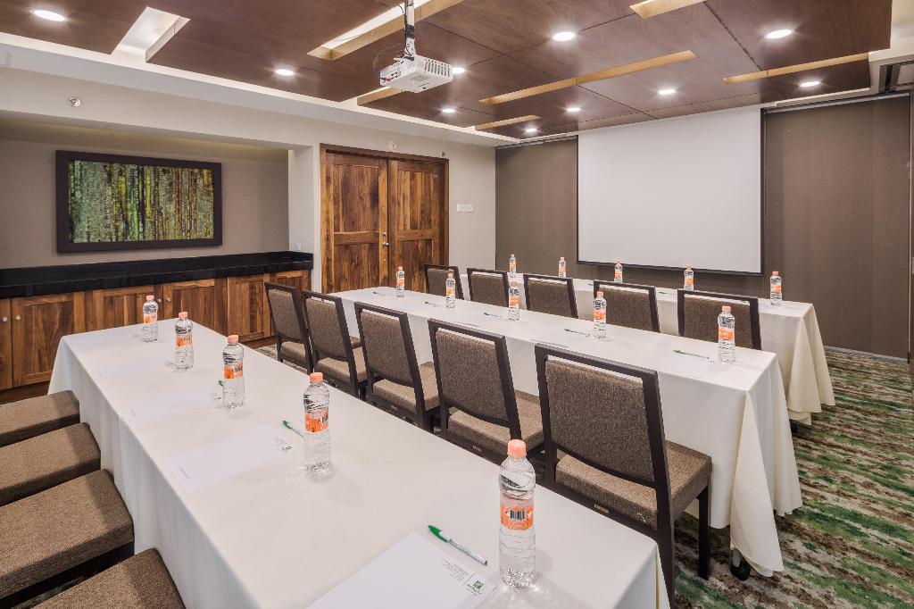 Holiday Inn Monterrey Valle photo 79