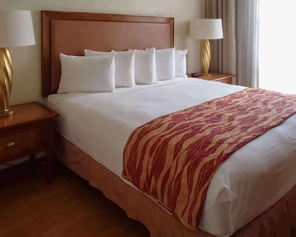 Hotel Rodeway Inn South Miami-Coral Gables, USA, Miami. Großes 17