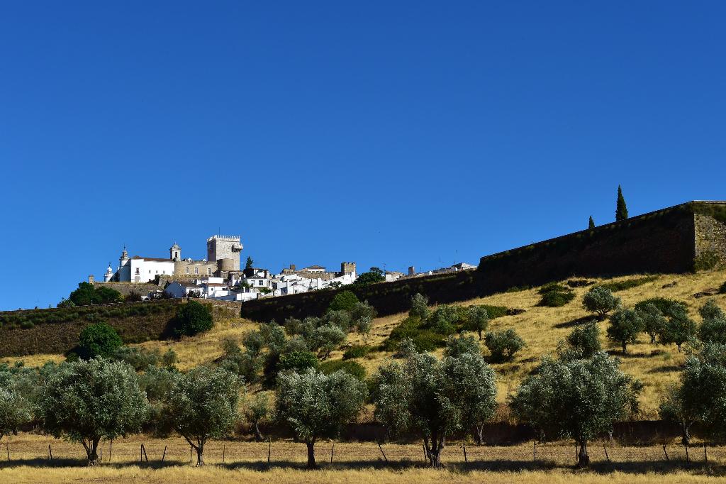 Pousadas de Estremoz – Rainha Santa Isabel photo 5