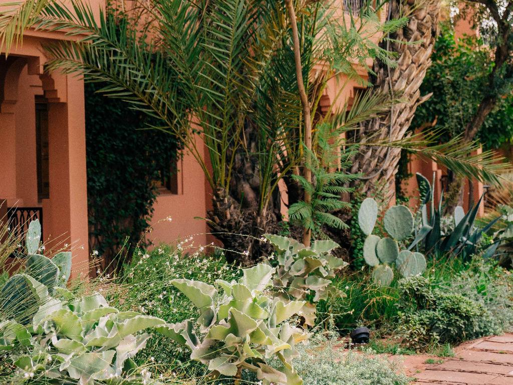 Sofitel Marrakech Lounge & Spa photo 222