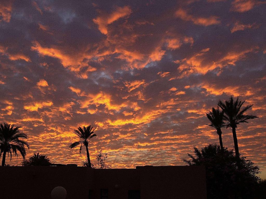 Sofitel Marrakech Lounge & Spa photo 399