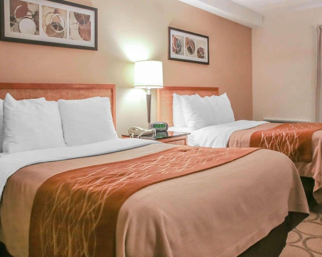 Comfort Inn South