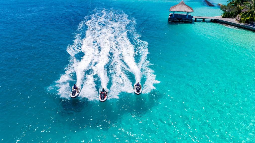 Sports and Entertainment