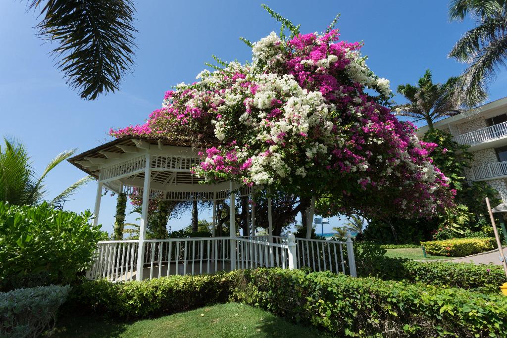 Holiday Inn Resort Montego Bay photo 128