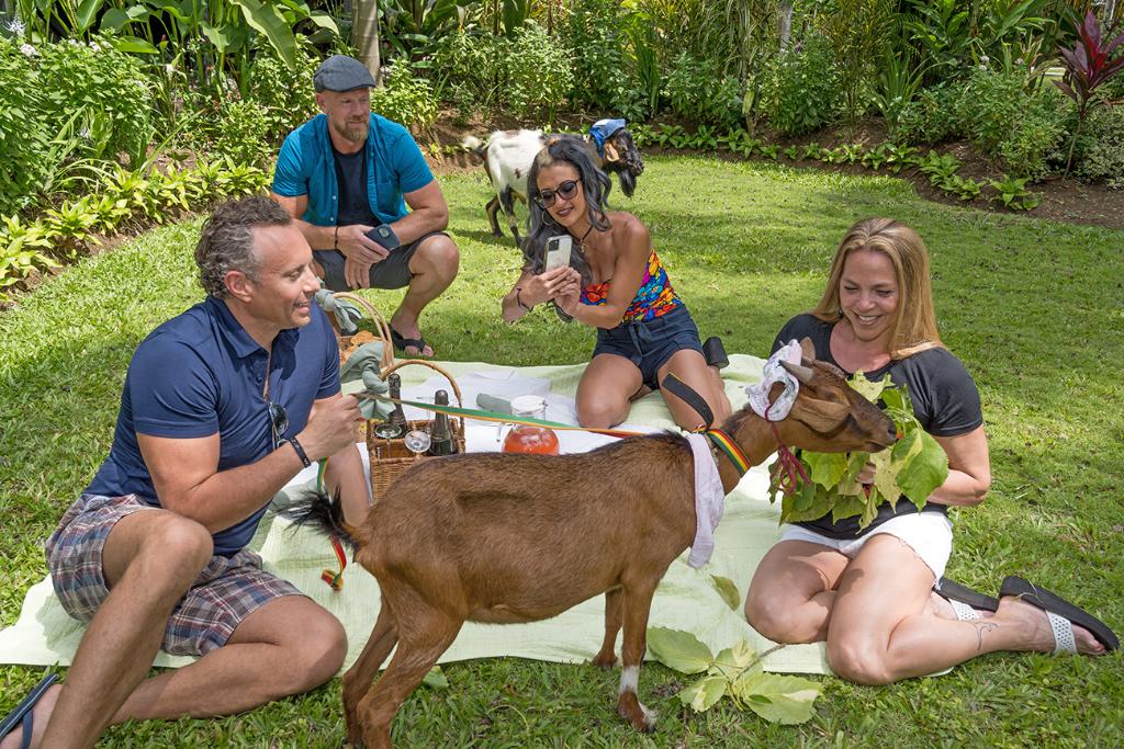 Hotel Sunset at the Palms, Jamaika, Negril. Großes 2