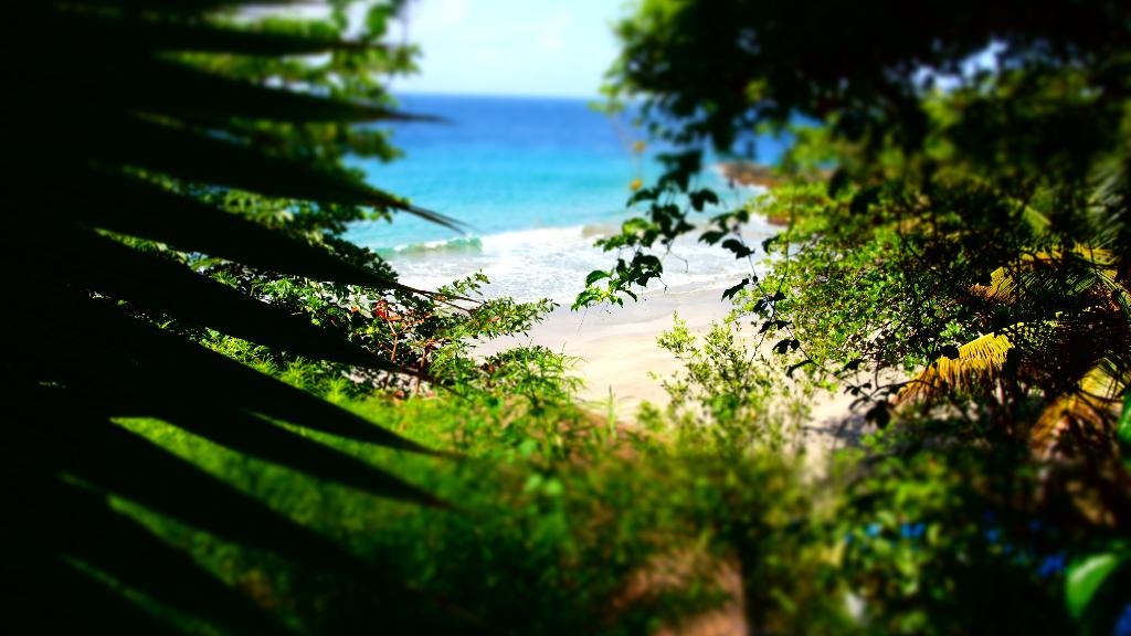 Hotel Half Moon Blue, Trinidad und Tobago, Scarborough. Großes 18