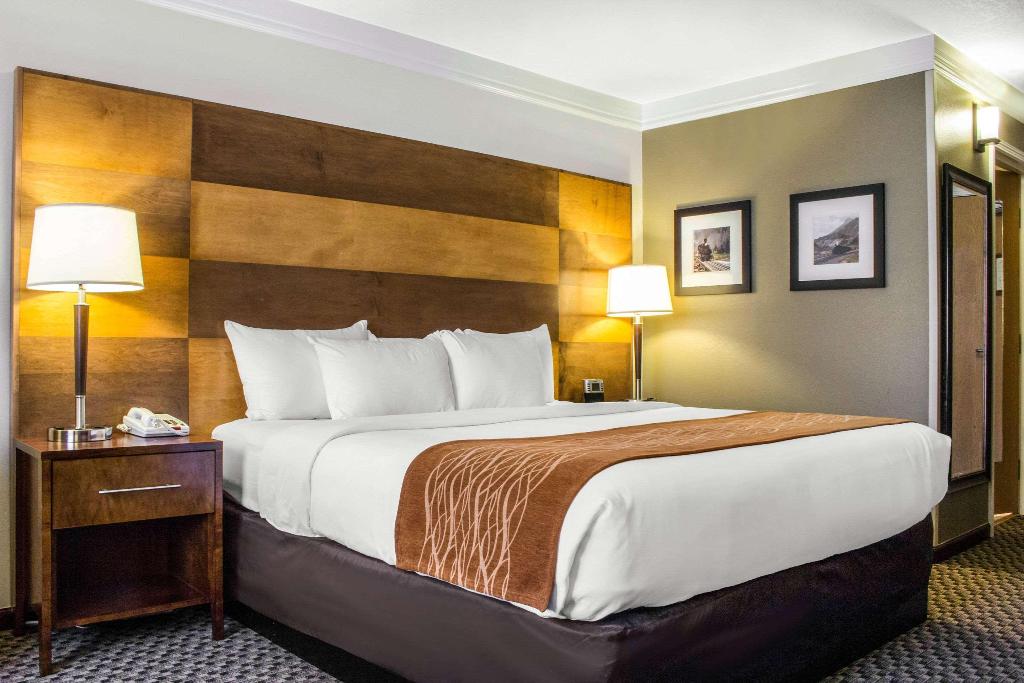 Comfort Inn & Suites Durango