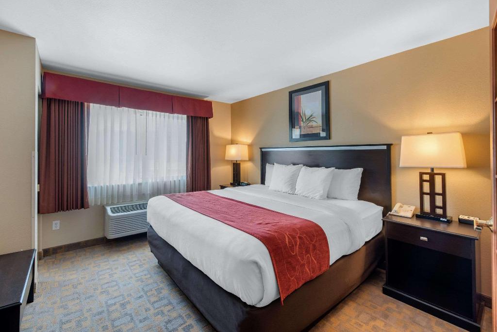 Comfort Suites Denver Tech Center / Engleewood 