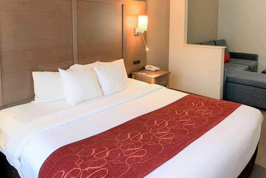 Comfort Suites Bush Intercontinental Airport