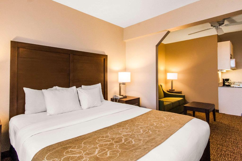 Comfort Suites Maingate East photo 26