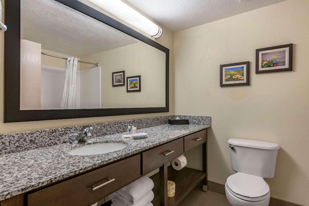 Comfort Suites Maingate East photo 62