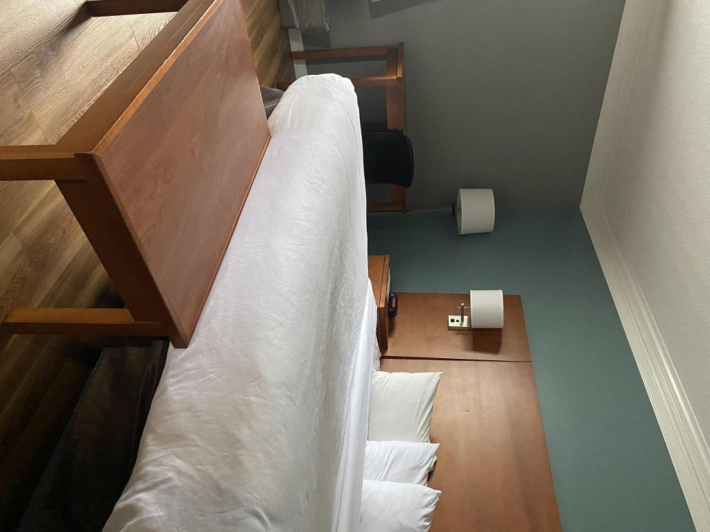 Econo Lodge at the Falls North