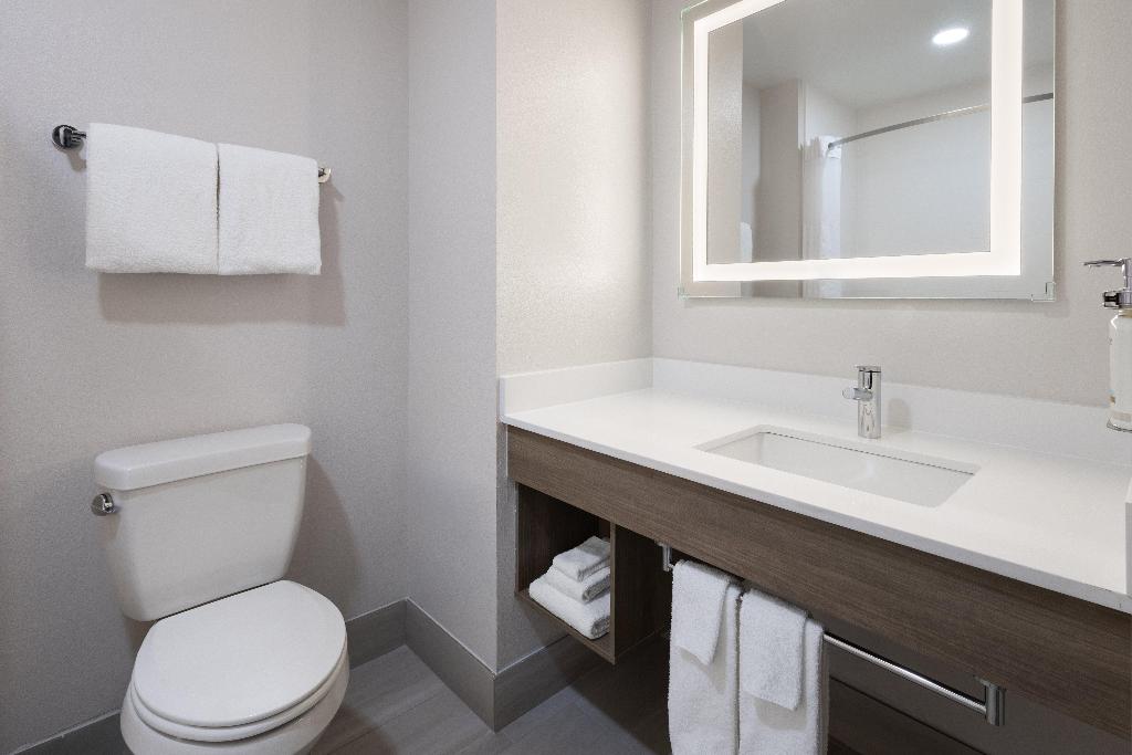 Holiday Inn Express & Suites Leesburg - Historic