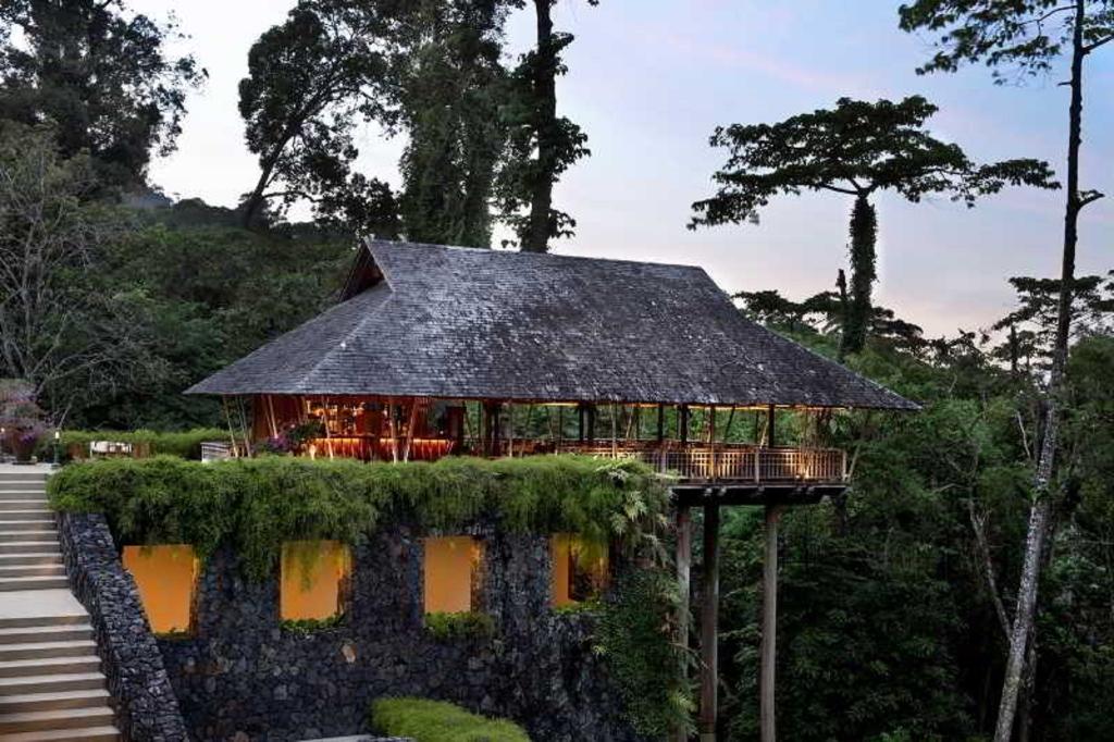 The Datai photo 47