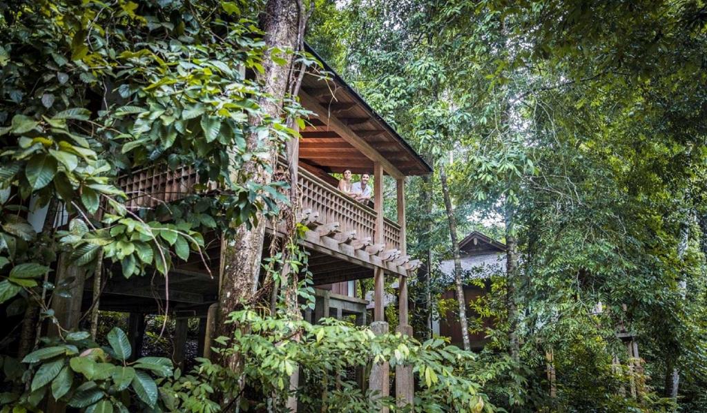 The Datai photo 75