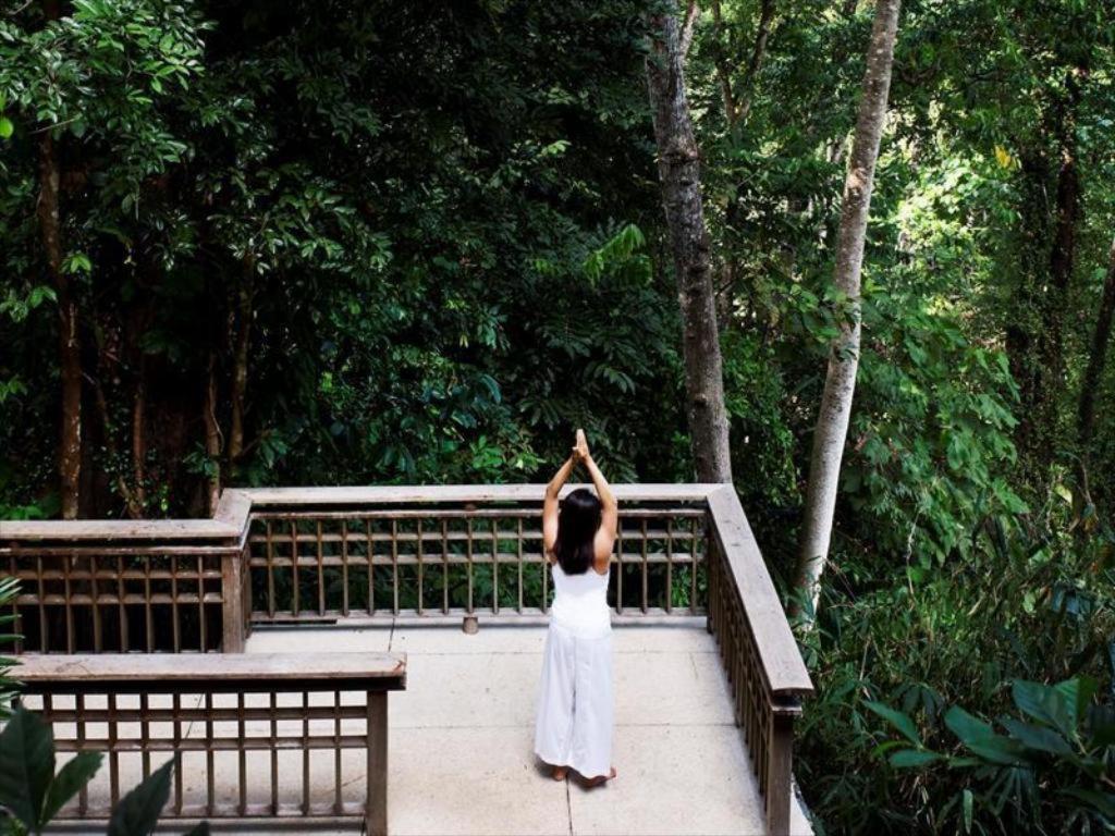 The Datai photo 64