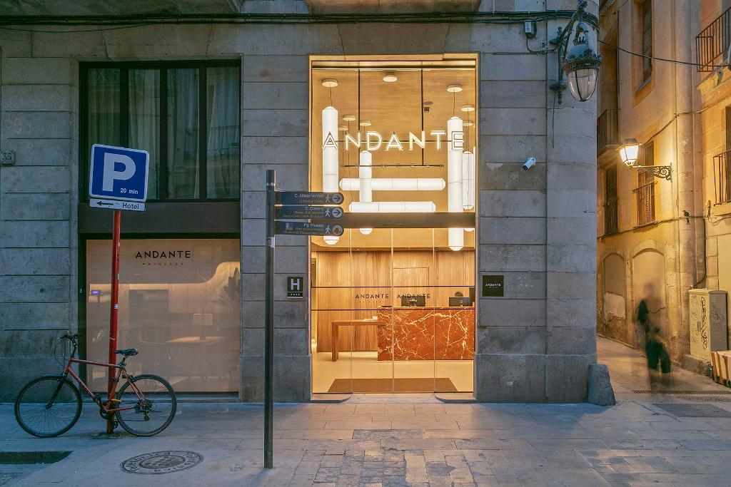 ANDANTE PRINCESA - General view