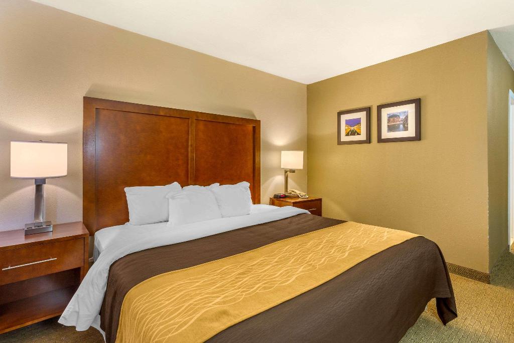 Comfort Inn Red Horse Frederick