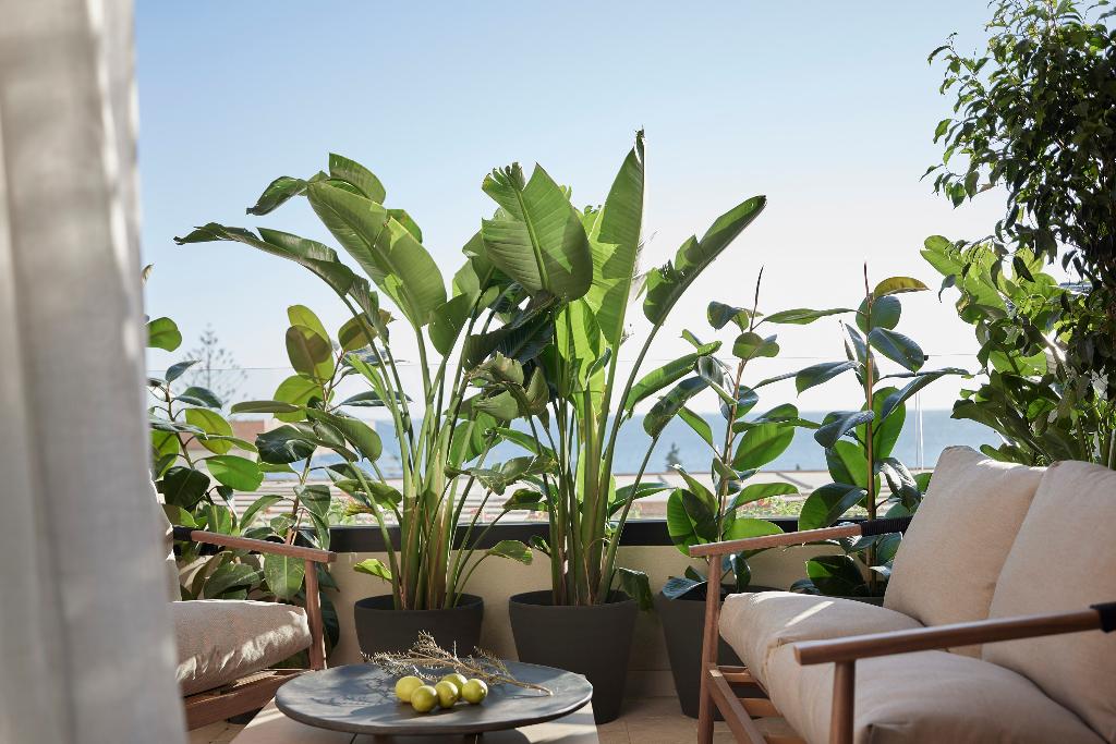 Helea Lifestyle Beach Resort photo 97