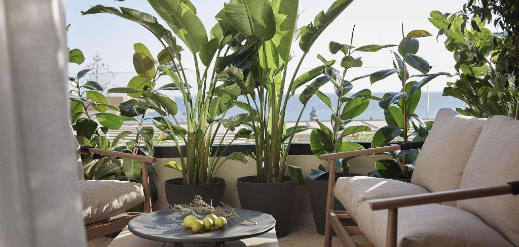 Helea Lifestyle Beach Resort photo 28