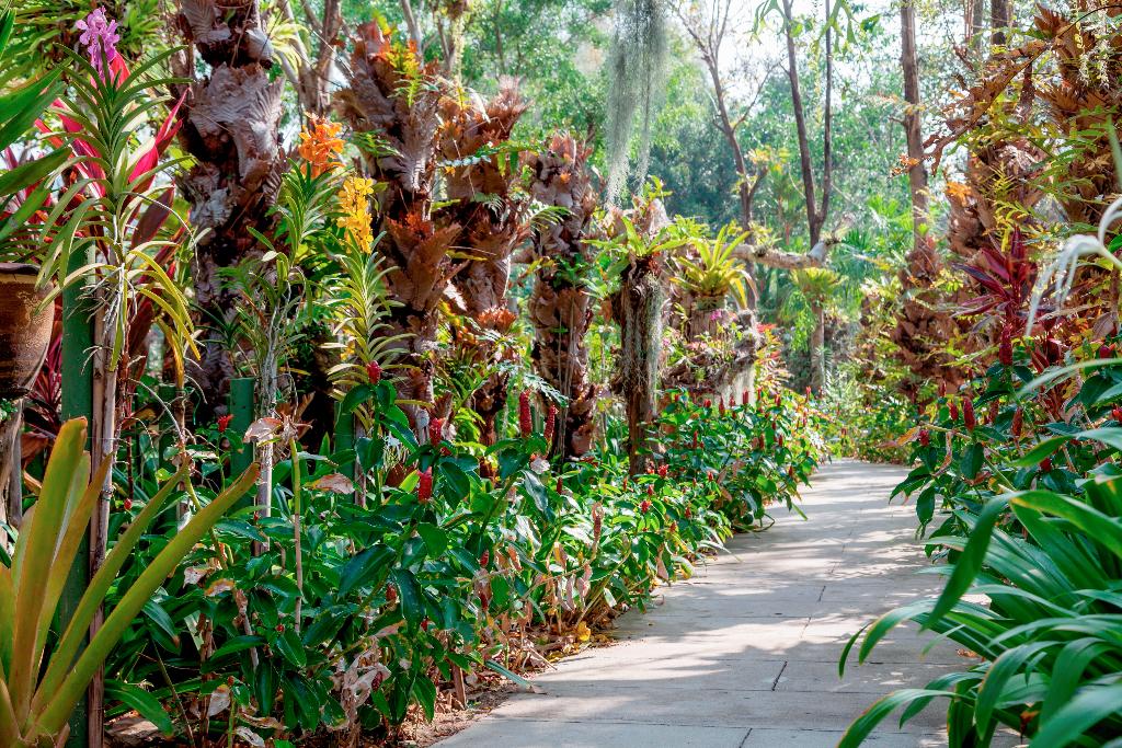 Hotel Thavorn Palm Beach Resort, Thailand, Karon Beach. Großes 97