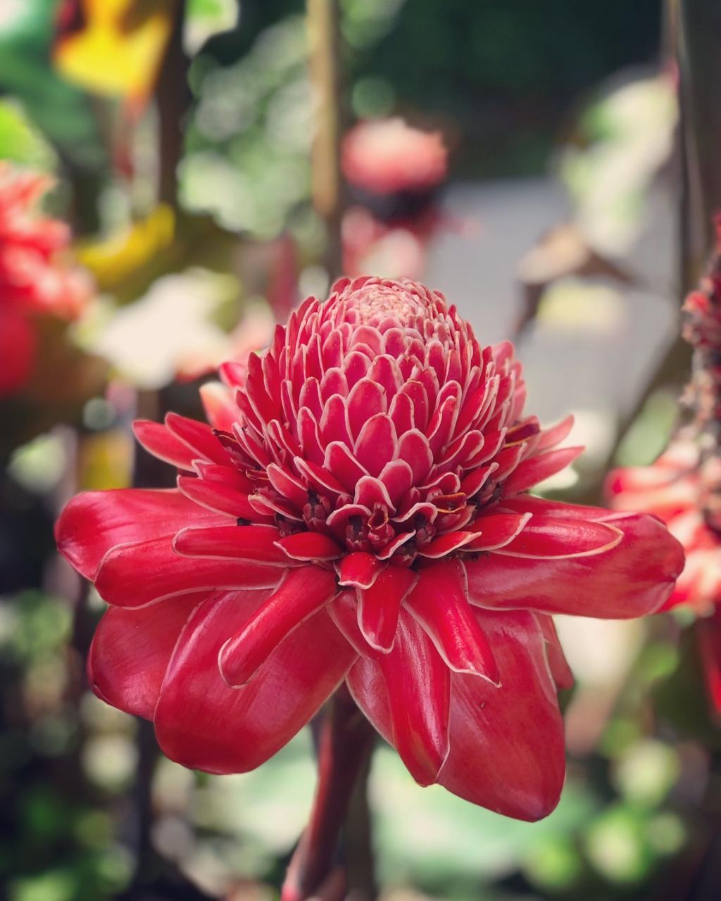 Hotel Khao Lak Palm Beach Resort, Thailand, Khuk Khak Beach. Großes 47