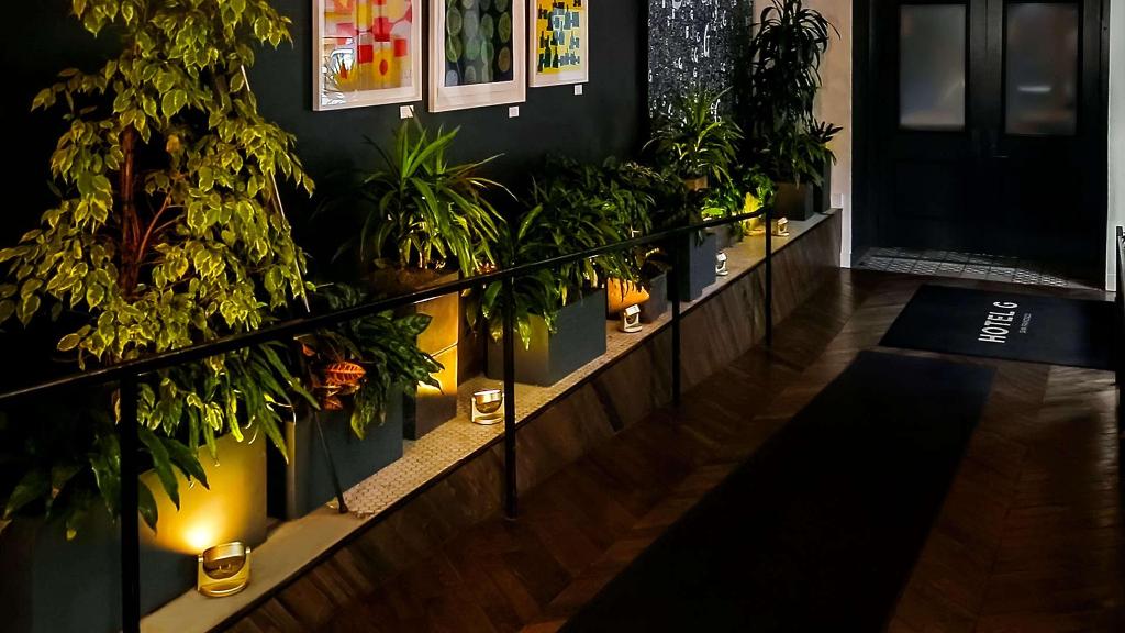 Hotel Hotel G San Francisco, USA, San Francisco. Großes 22