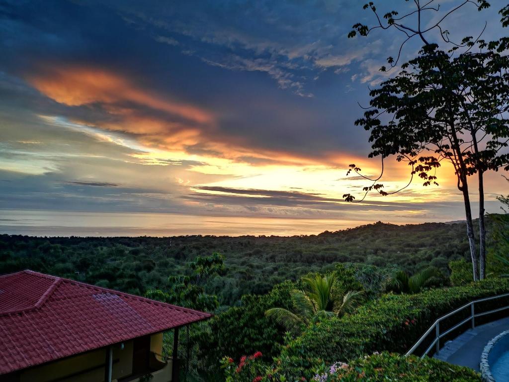 Vista Ballena