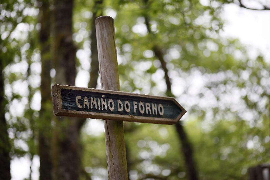 Parador de Santo Estevo photo 4