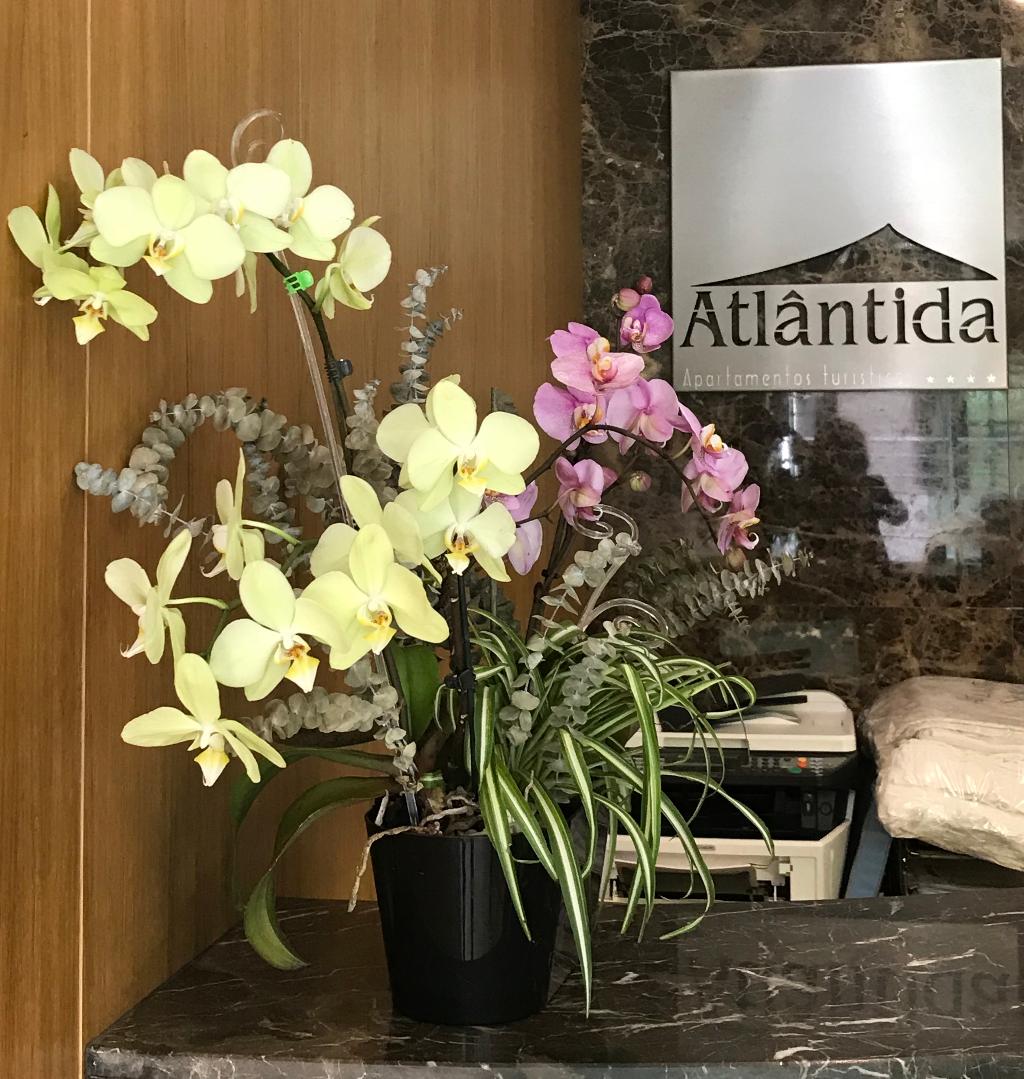 Hotel Apartamentos Turisticos Atlantida, Portugal, Funchal. Großes 2