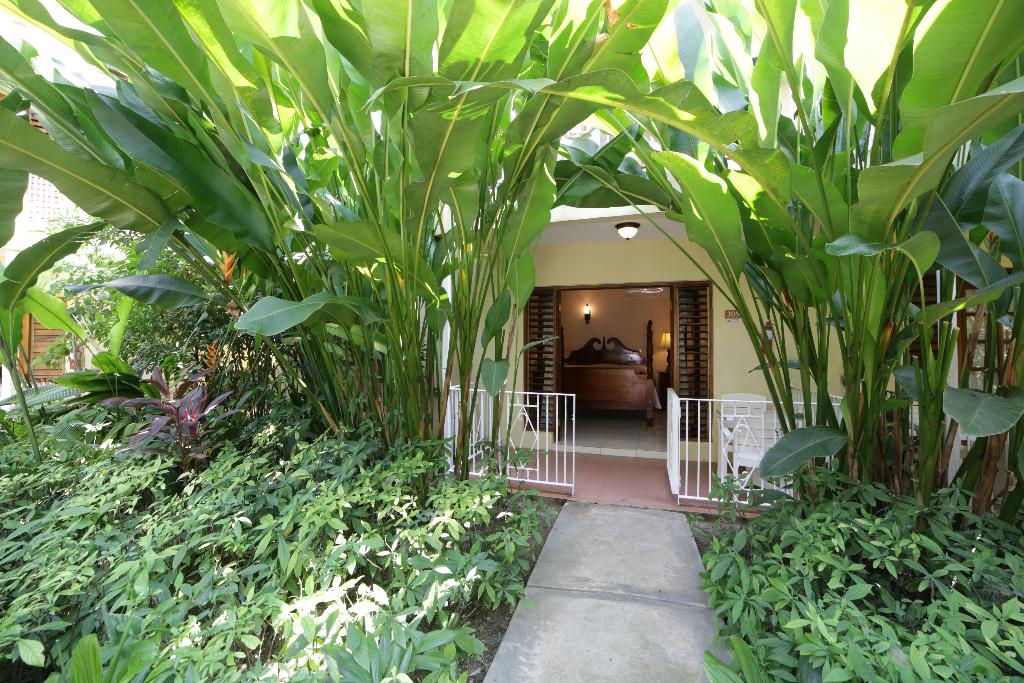 Negril Palms