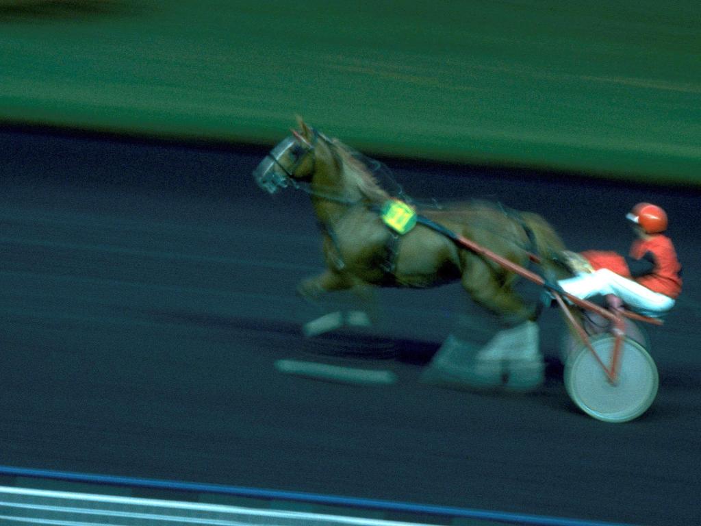 Hotel Mercure Paris Roissy Cdg, Frankreich, Roissy-en-France. Großes 2