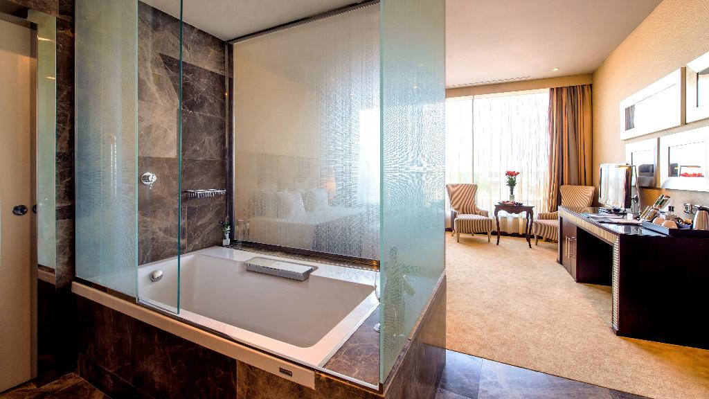 Anantara New York Palace Budapest Hotel photo 145