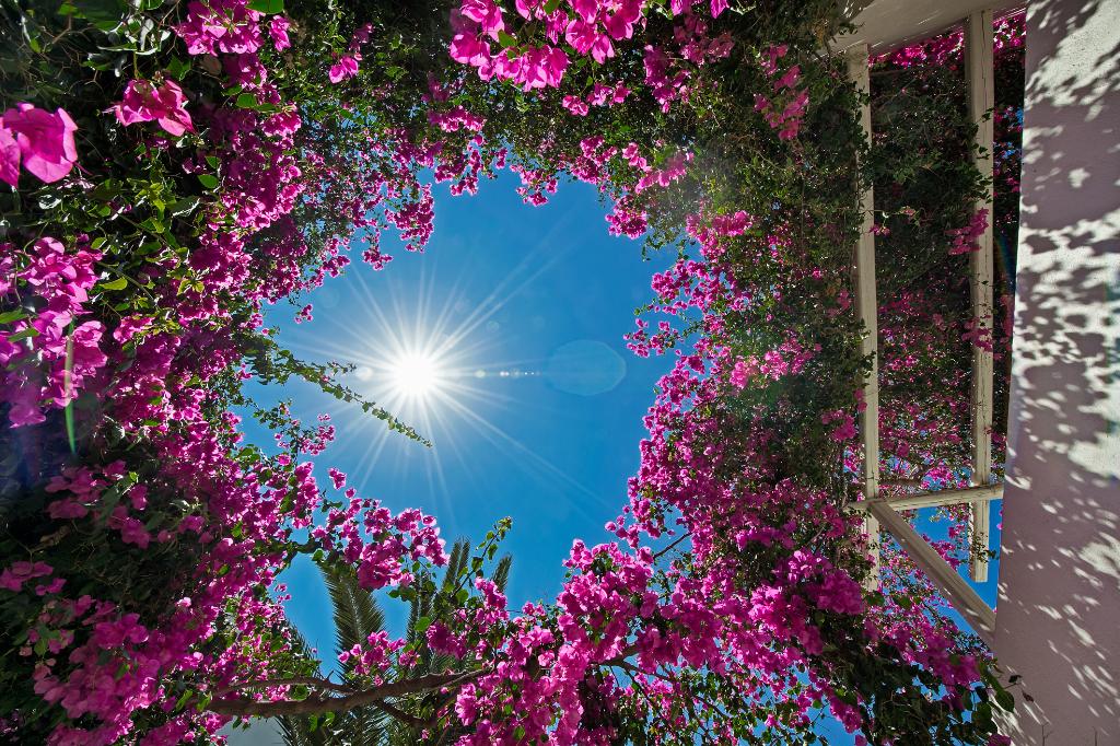 Hotel Atlantis Beach Villa, Griechenland, Perivolos. Großes 2