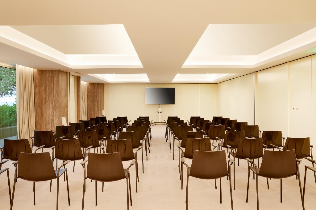 Conferences