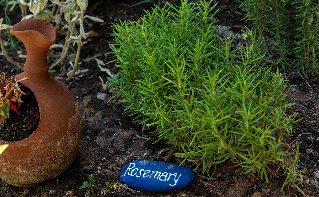 Hotel Villea Village, Griechenland, Makrigialos. Großes 1