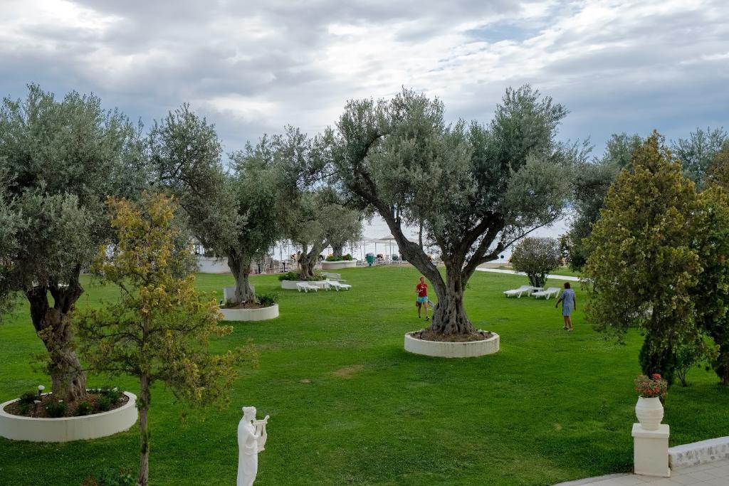 Palmariva Beach Hotel photo 77