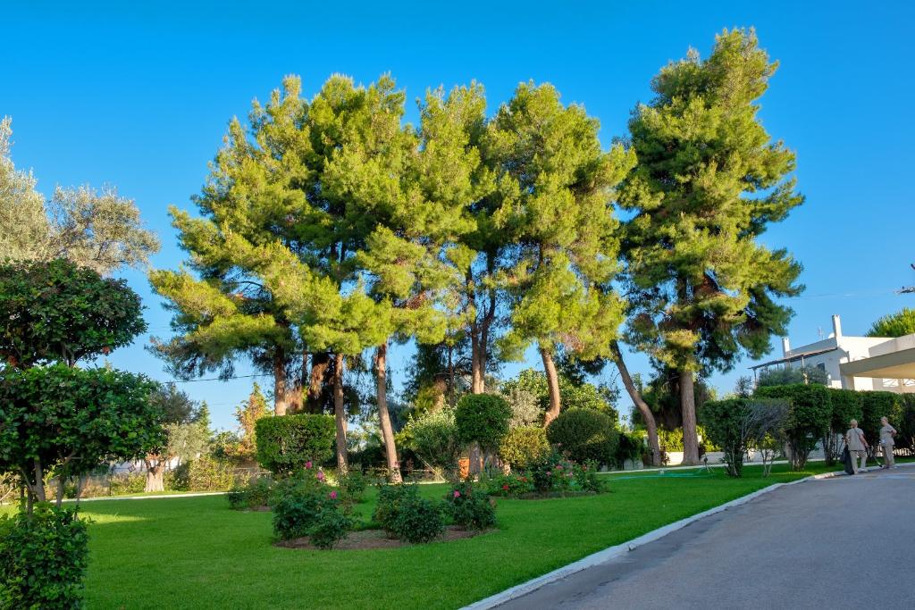 Palmariva Beach Hotel photo 65