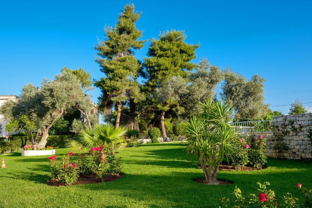 Palmariva Beach Hotel photo 66