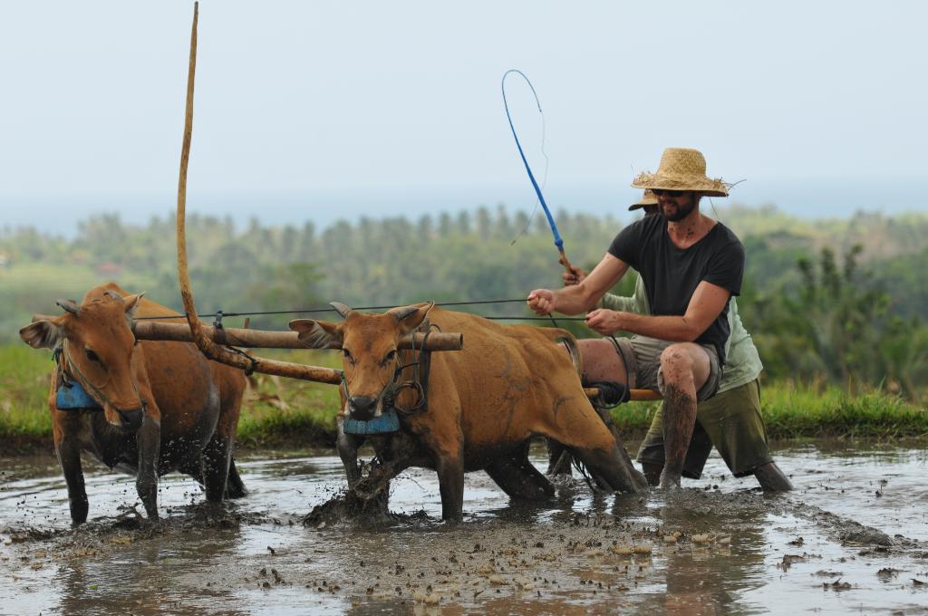 Hotel Puri Dajuma Beach Eco-Resort & Spa, Indonesien, Pekutatan. Großes 1