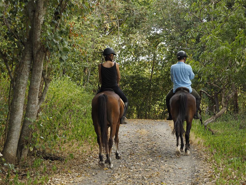 Hotel The Menjangan by LifestyleRetreats, Indonesien, Pejarakan. Großes 1