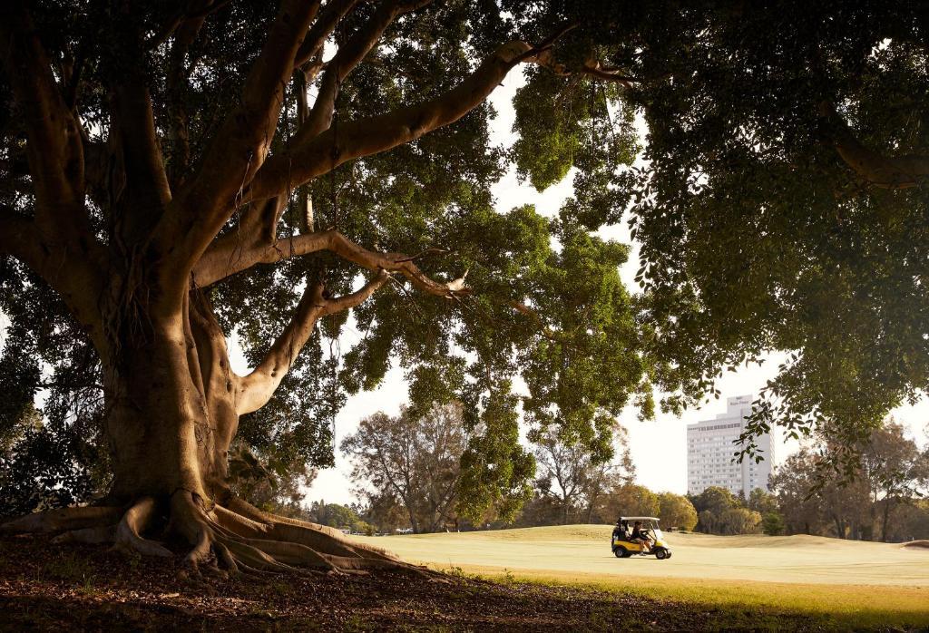 RACV Royal Pines Resort photo 6