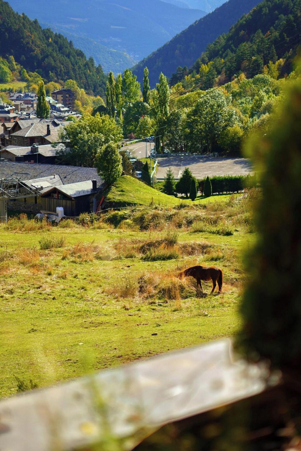 Hotel Terranova - Sports and Entertainment