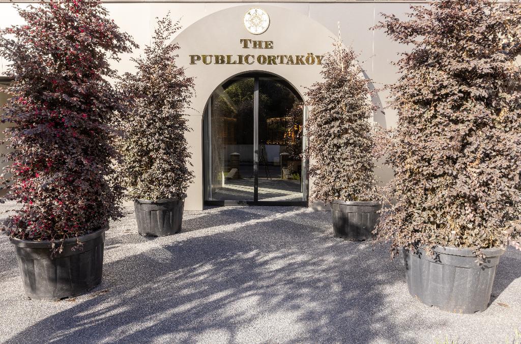 The Public Ortakoy