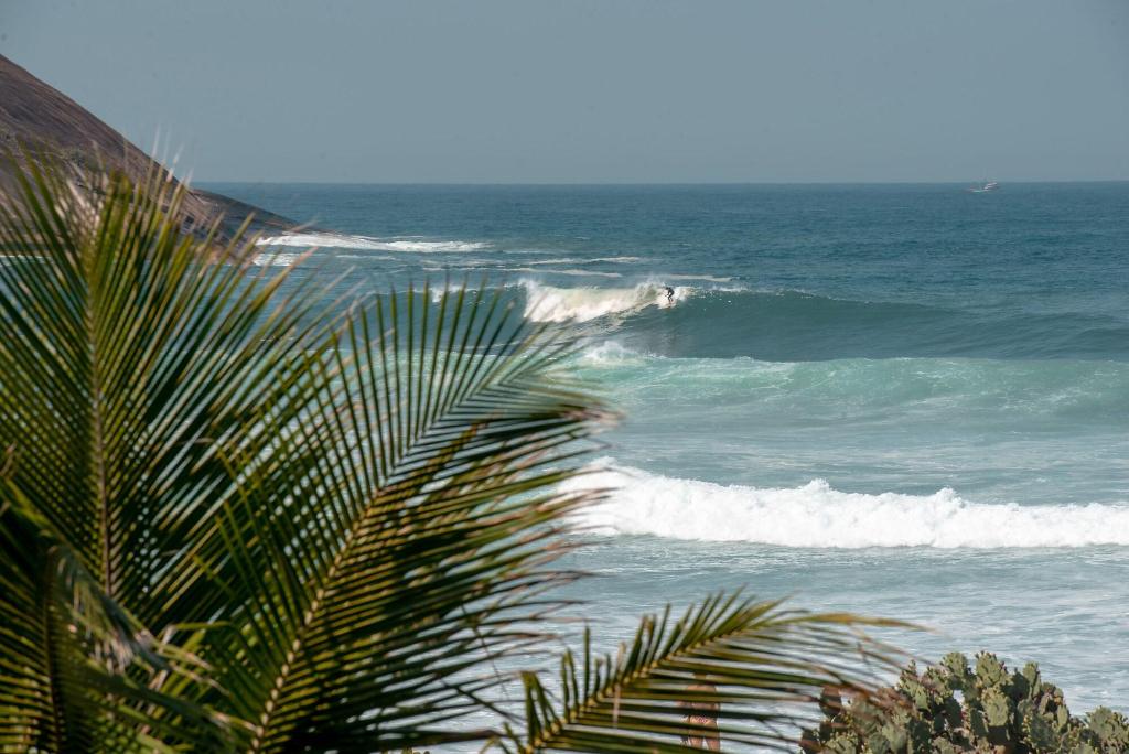 Longboard Paradise Surf Club