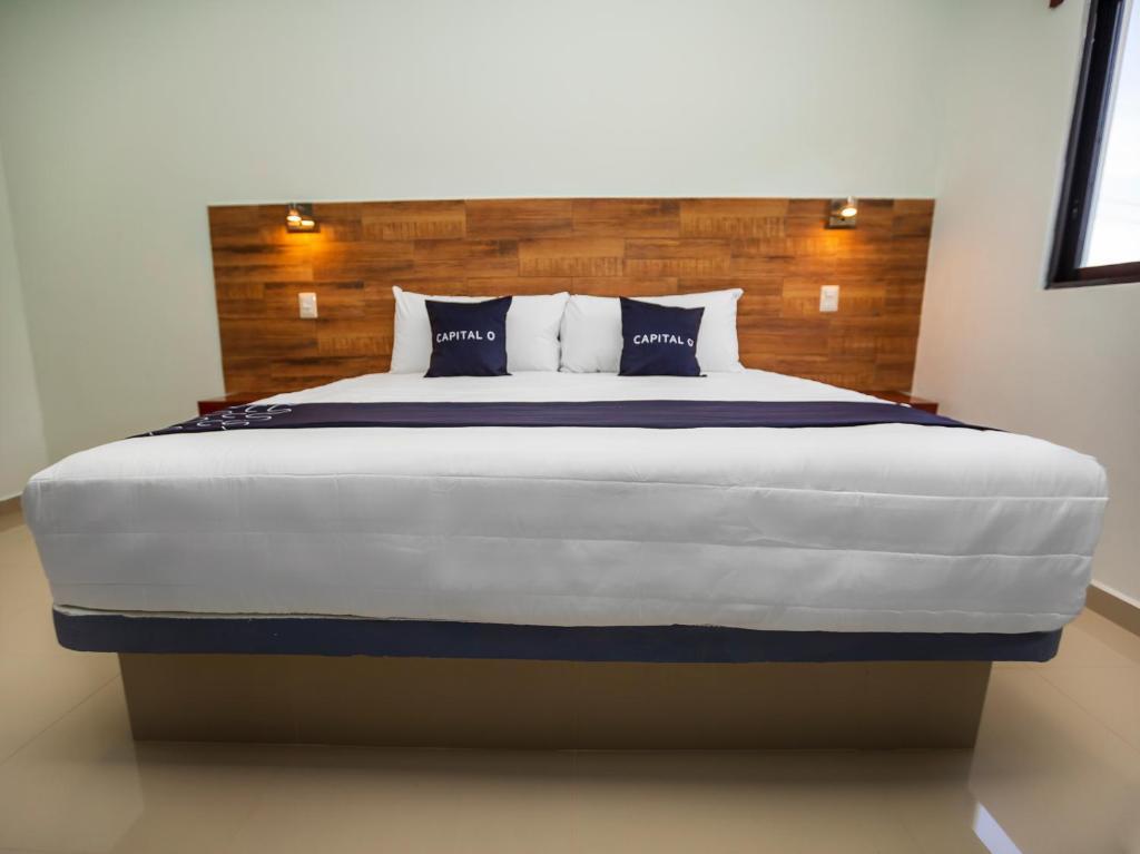 Hotel Pejelagarto