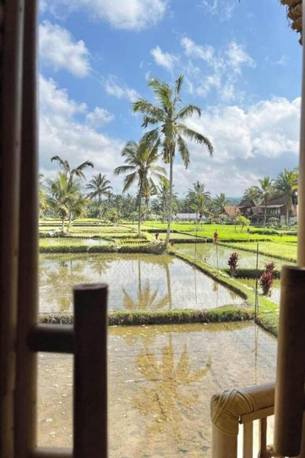 Tiny ECO Bamboo Ubud By Zuzu