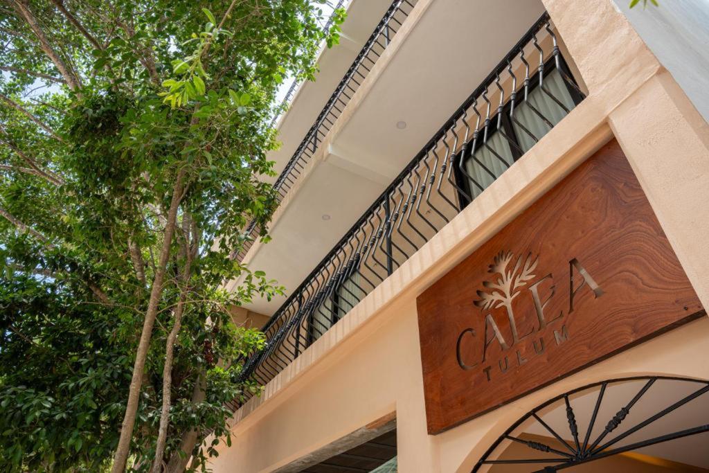 Calea Tulum, vista principal