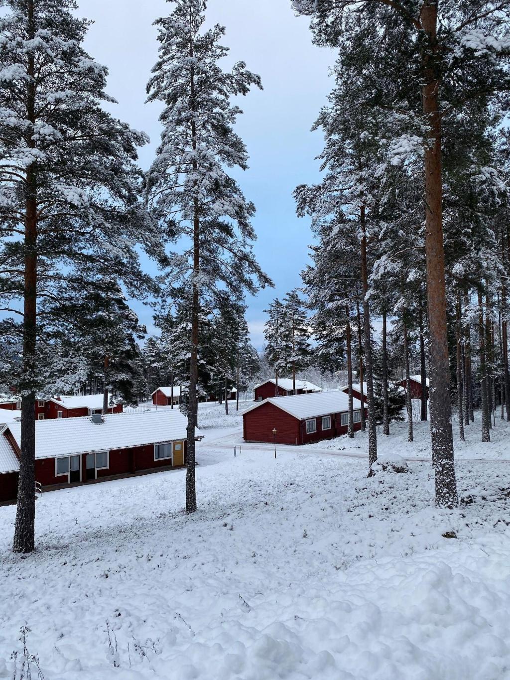 Hotell Moskogen