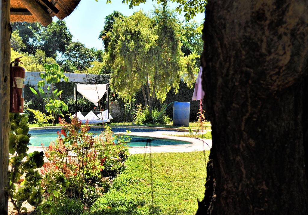 Natwange Backpackers - General view